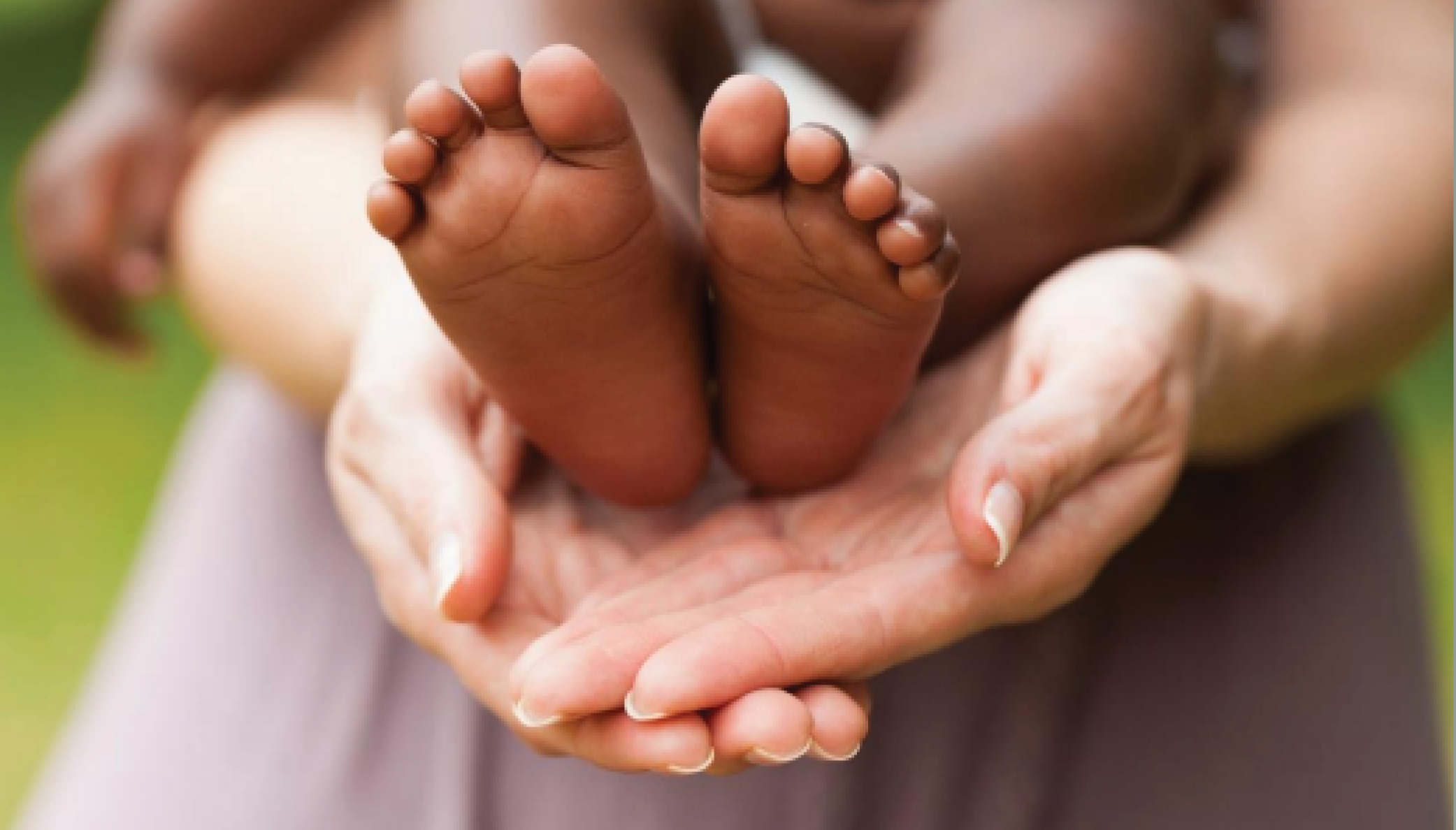 Baby Feet in Hands