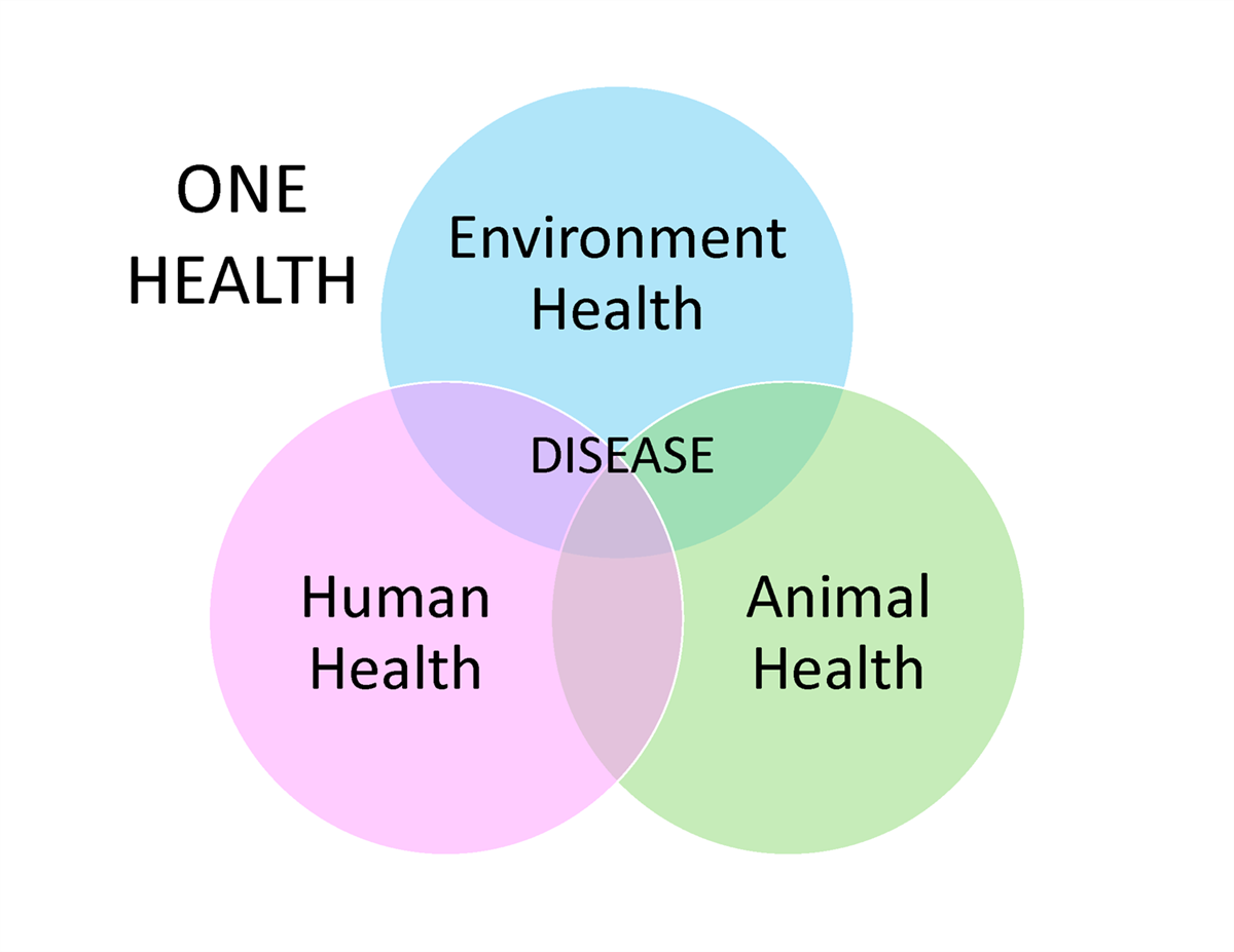 One Health Intern Program - City of Columbus, Ohio