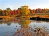 fall-colors.jpg fall-colors.jpg